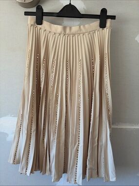 NWT Burberry Runway Pleated Beige Midi Skirt with Crystal Detailing size 6